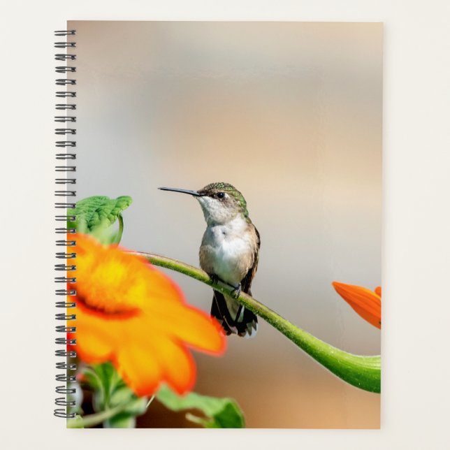 Hummingbird in the Adirondacks 2024 Planner (Front)