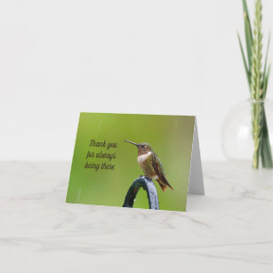 Hummingbird in the Rain Thank you Sympathy Card