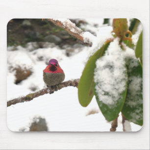 Hummingbird in Winter Mouse Mat