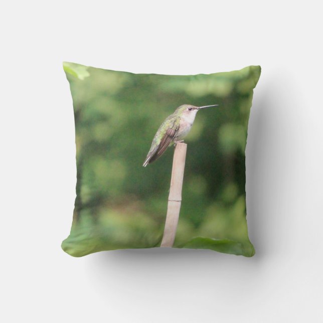 Hummingbird Inspired Design Cushion (Front)