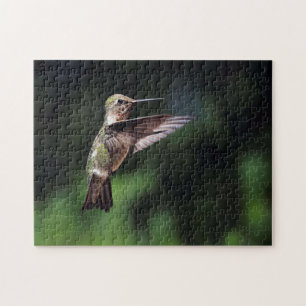 Hummingbird Jigsaw Puzzle