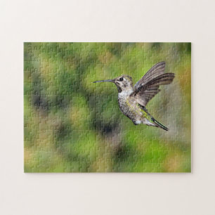 Hummingbird Jigsaw Puzzle