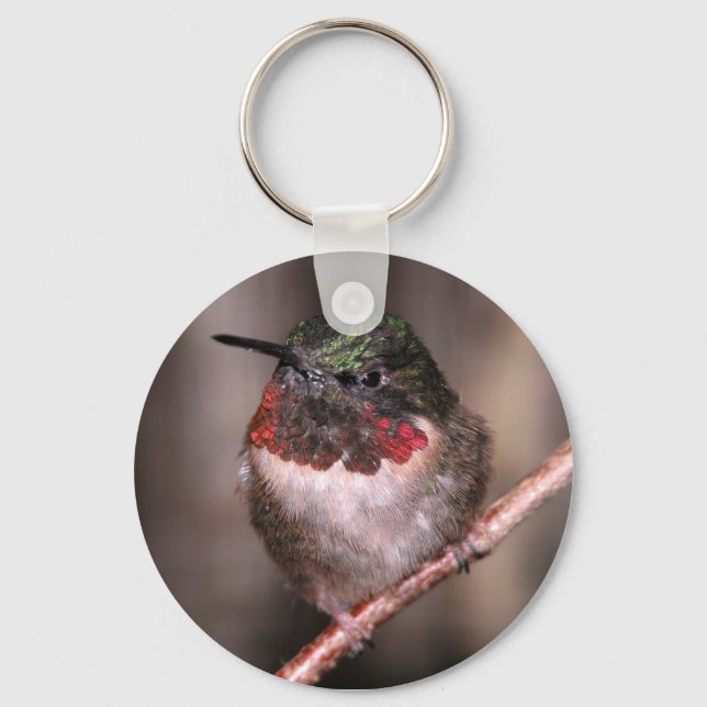 Hummingbird Key Ring (Front)