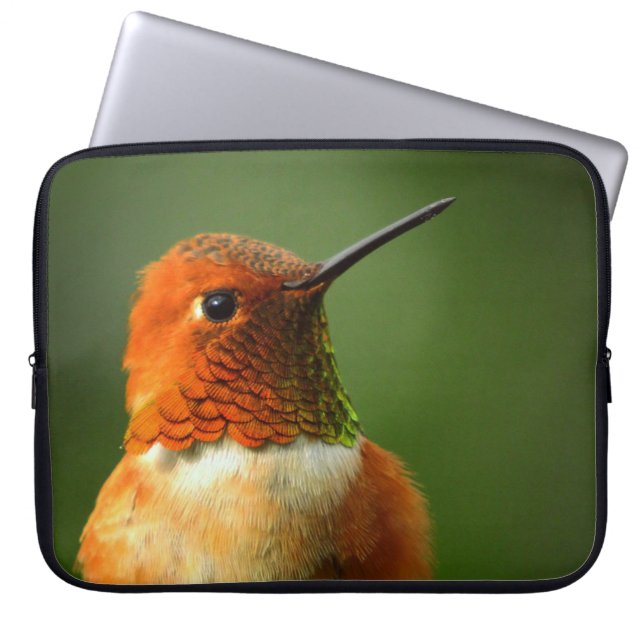 Hummingbird Laptop Sleeve (Front)