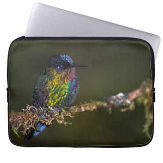 Hummingbird Laptop Sleeve