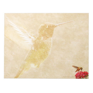Hummingbird - LARGE Notepad/Memo Pad