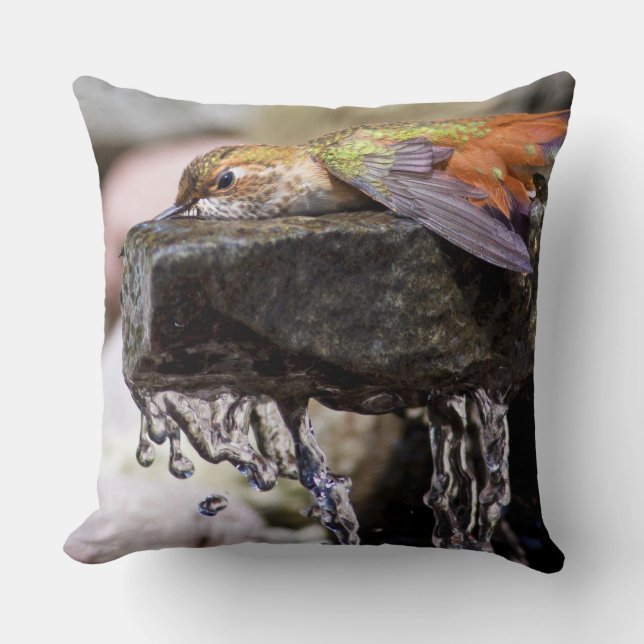 Hummingbird  Laying in Water 2 Cushion (Front)