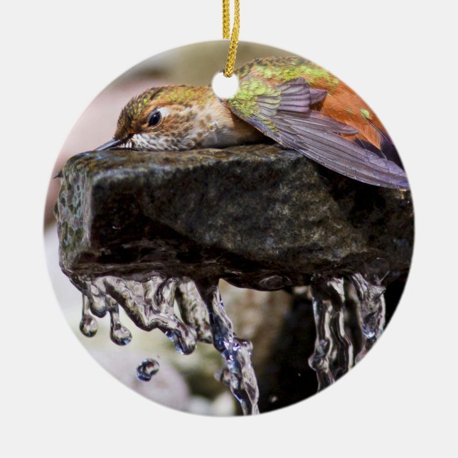 Hummingbird  Laying in Water Ceramic Tree Decoration (Front)
