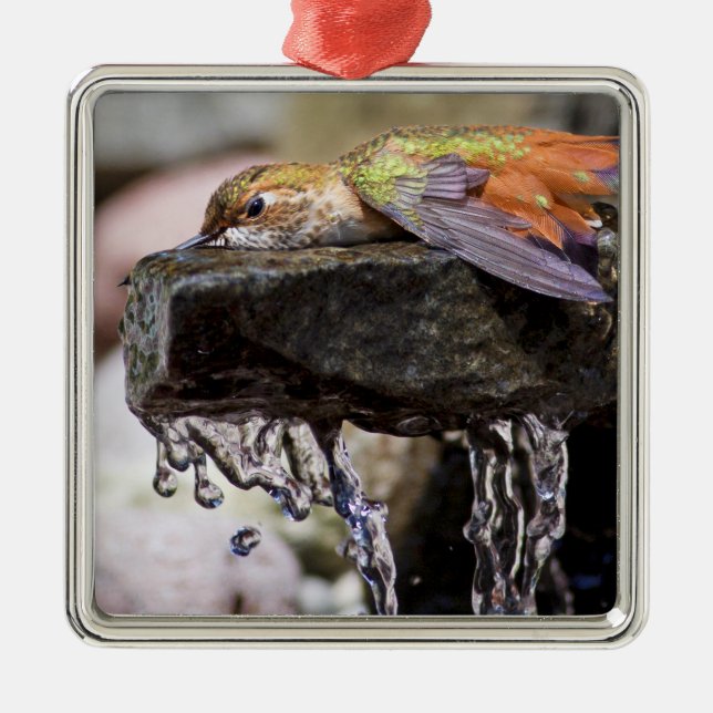 Hummingbird  Laying in Water Metal Tree Decoration (Front)