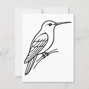 Hummingbird Line Art – Bird Illustration Postcard