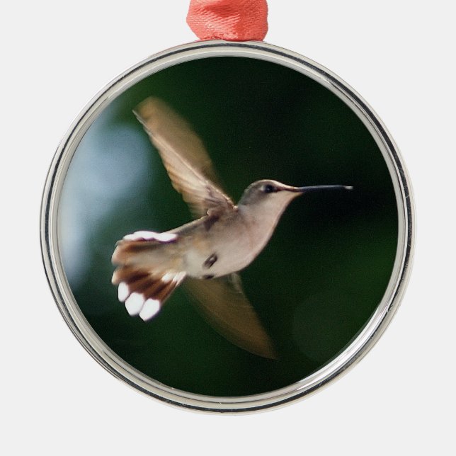 Hummingbird Lover Ornament (Front)