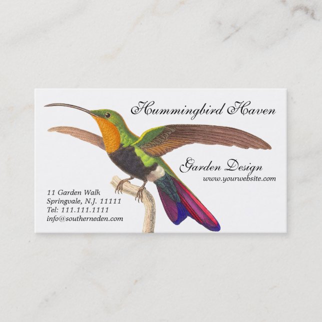 Hummingbird Lover's Business Card - Colourful (Front)