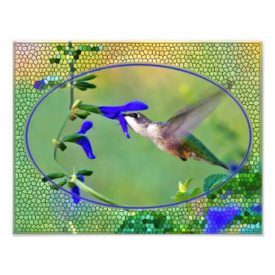 Hummingbird Lunch Illustration Photo Print