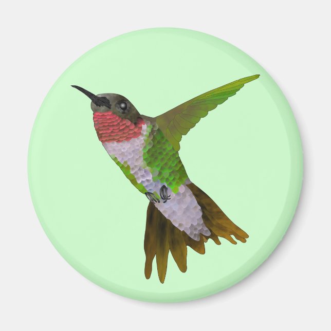 Hummingbird Magnet (Front)