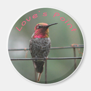 Hummingbird magnet Love's Point caption