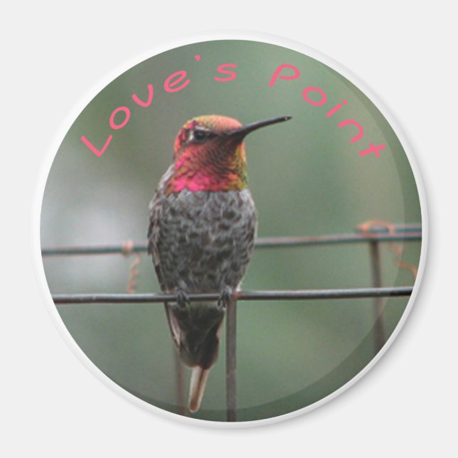 Hummingbird magnet Love's Point caption (Front)