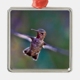Hummingbird Metal Tree Decoration