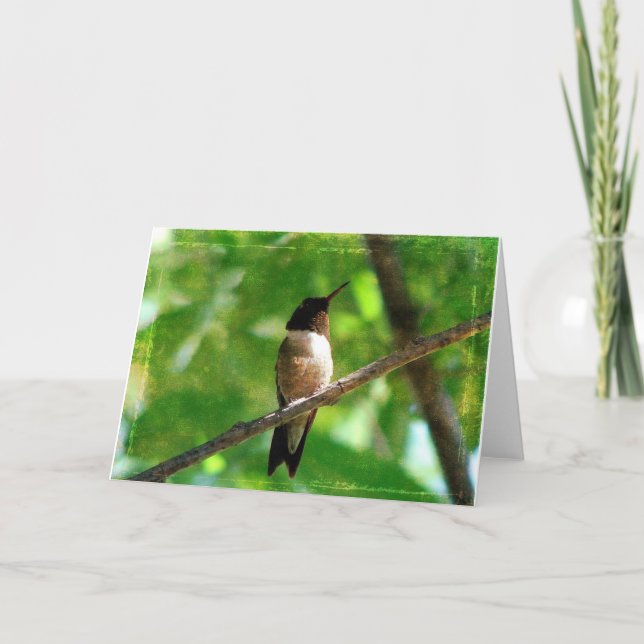 Hummingbird Morning Card (Front)