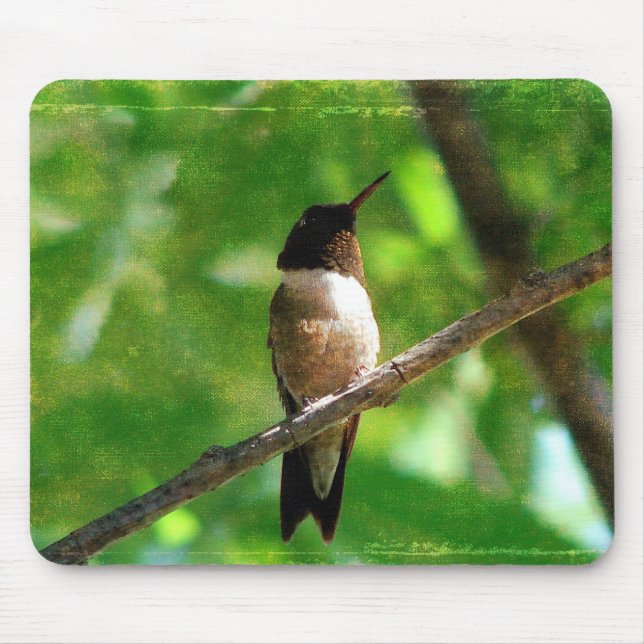 Hummingbird Morning Mouse Mat (Front)