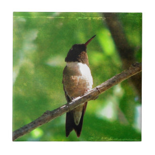 Hummingbird Morning Tile