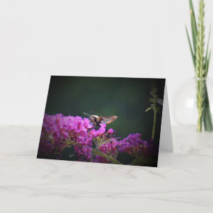 Hummingbird Moth, card