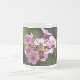Hummingbird Moth Frosted Glass Coffee Mug