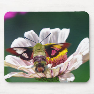 Hummingbird Moth Mouse Mat