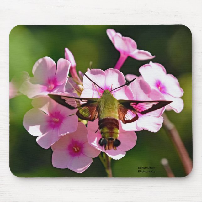 Hummingbird Moth Mouse Mat (Front)