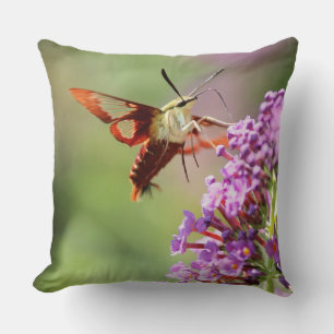 Hummingbird Moth on a Butterfly Bush  Cushion