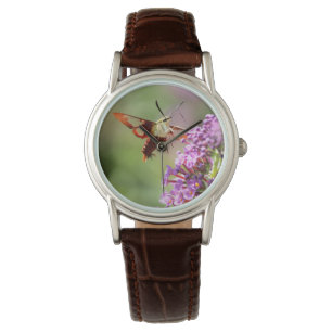 Hummingbird Moth on a Butterfly Bush  Watch