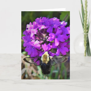 Hummingbird Moth & Verbena, card