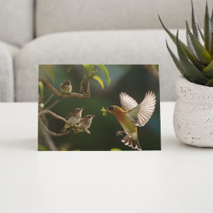 Hummingbird Mother food up Postcard