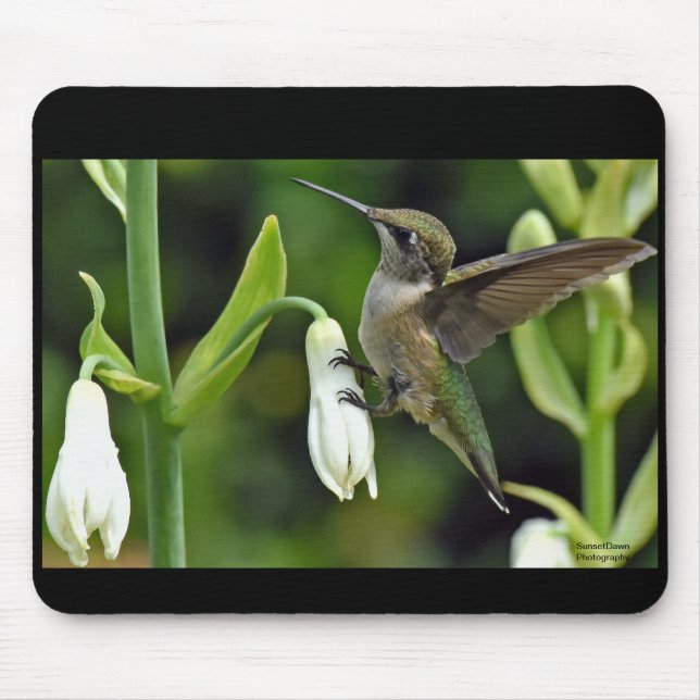 Hummingbird Mouse Mat (Front)
