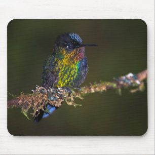 Hummingbird Mouse Mat