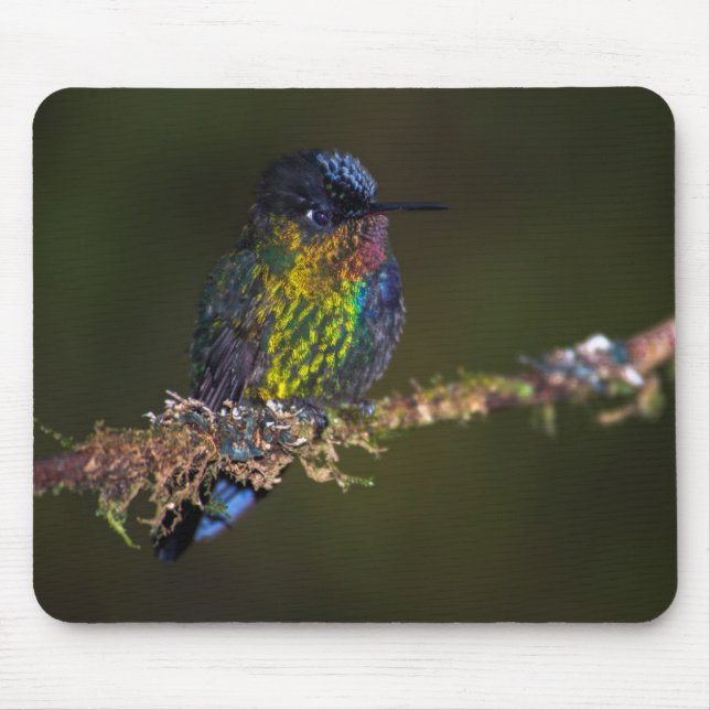 Hummingbird Mouse Mat (Front)