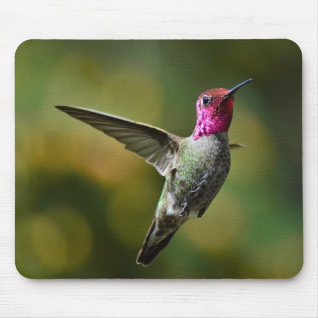 Hummingbird  mouse mat (Front)