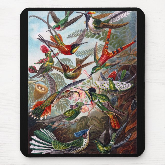 Hummingbird Mouse Mat (Front)