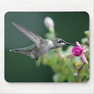 Hummingbird Mouse Mat