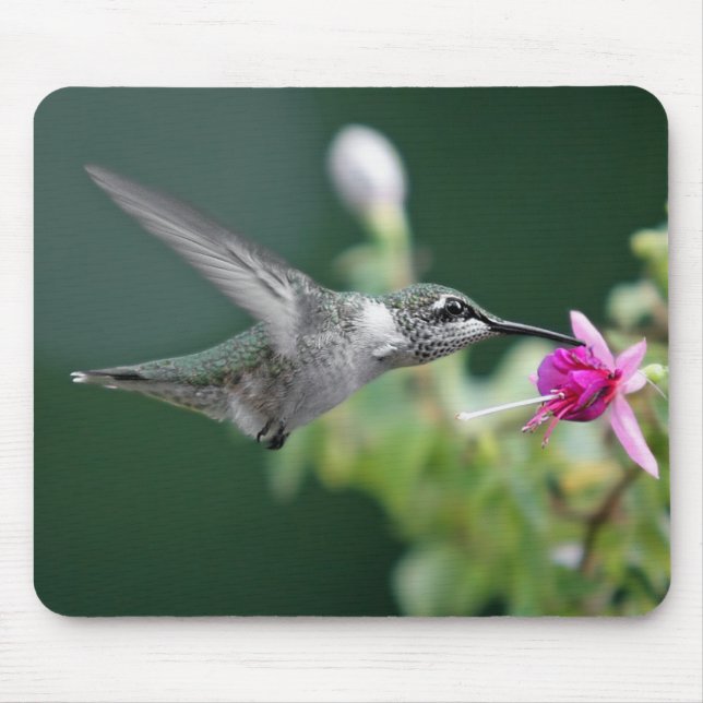 Hummingbird Mouse Mat (Front)
