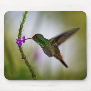 hummingbird mouse mat