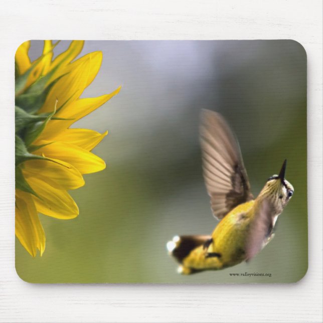 Hummingbird Mouse Pad (Front)