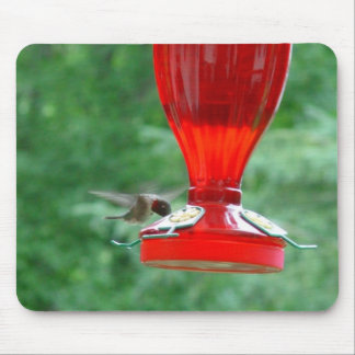 Hummingbird Mousepad