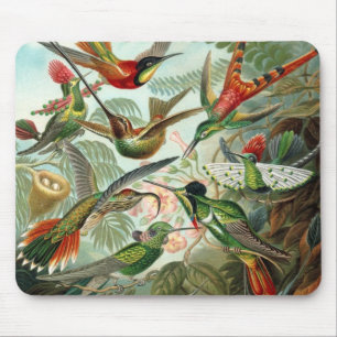 Hummingbird Mousepad