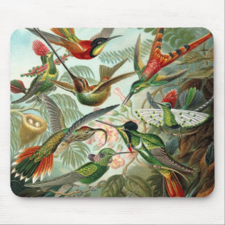 Hummingbird Mousepad