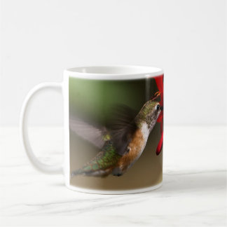 Hummingbird Mug