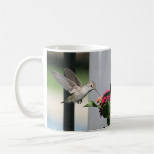 Hummingbird, Mug