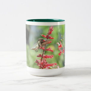 Hummingbird Mug