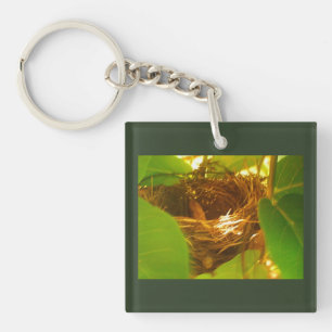 Hummingbird Nest Key Ring