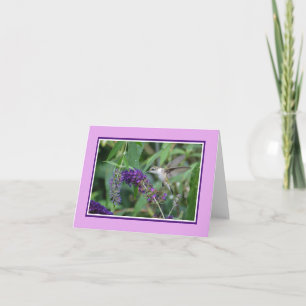Hummingbird Note Card