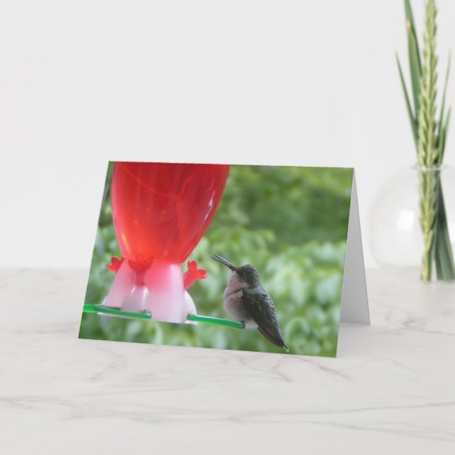 Hummingbird Note Card (Front)